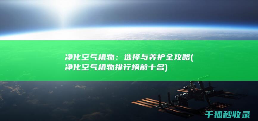 净化空气植物：选择与养护全攻略 (净化空气植物排行榜前十名)
