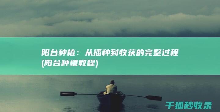 阳台种植：从播种到收获的完整过程 (阳台种植教程)