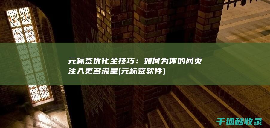 元标签优化全技巧：如何为你的网页注入更多流量 (元标签软件)
