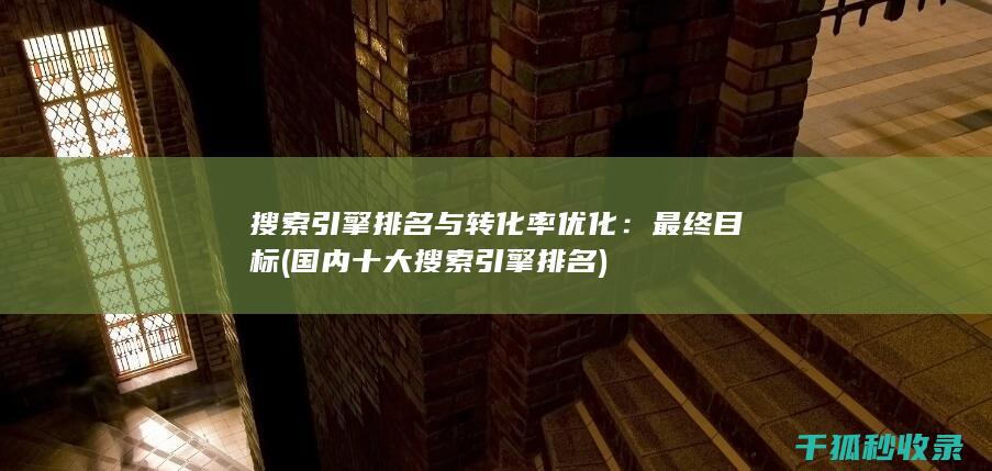 搜索引擎排名与转化率优化：最终目标 (国内十大搜索引擎排名)