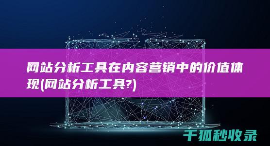 网站分析工具在内容营销中的价值体现 (网站分析工具?)