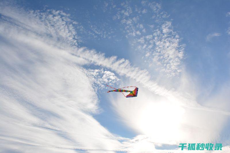 高空中的风筝节：欢乐与创意的盛会 (高空中风筝夺魂)
