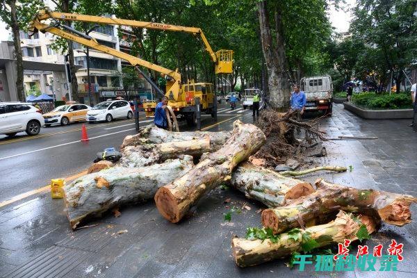 地倒设施的环保特性：绿色发展的新方向 (倒置地形的成因)