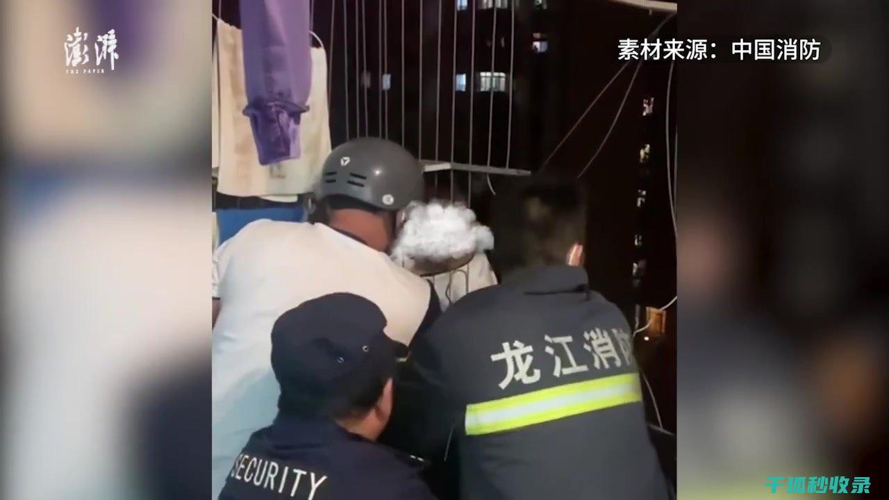 地倒设施与宠物寄养中心：放心托付的家 (倒置地形什么意思)