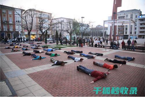 地倒设施与宠物美容大赛：展示宠物美的竞赛 (倒置地形)