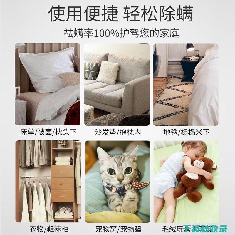地毯除螨秘籍 | 快速清除地毯中的螨虫 (地毯有螨虫怎么办)