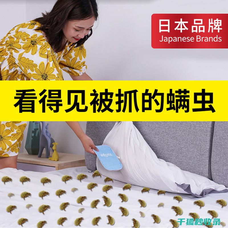 地毯除螨经验分享：实用方法让你事半功倍 (地毯除螨经验总结)