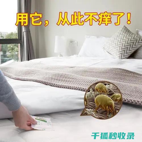地毯除螨小窍门 | 让你省时省力又干净 (地毯除螨小窍门是什么)