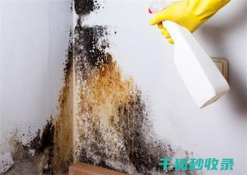 墙面污渍处理：使用自来水清洁墙面的简单方法 (墙面污渍处理方法)