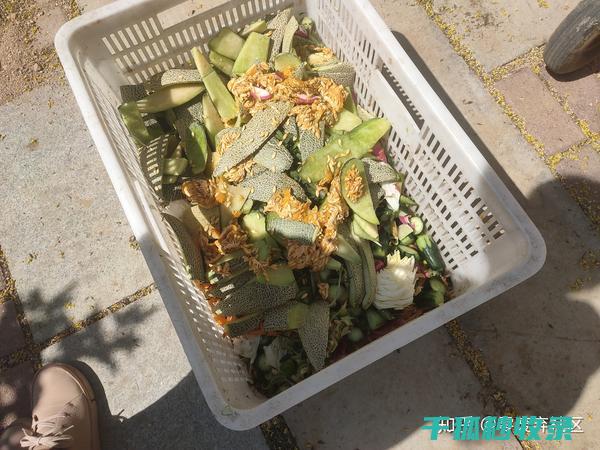 厨余堆肥：从垃圾到肥料的高效转化 (厨余堆肥的肥力)