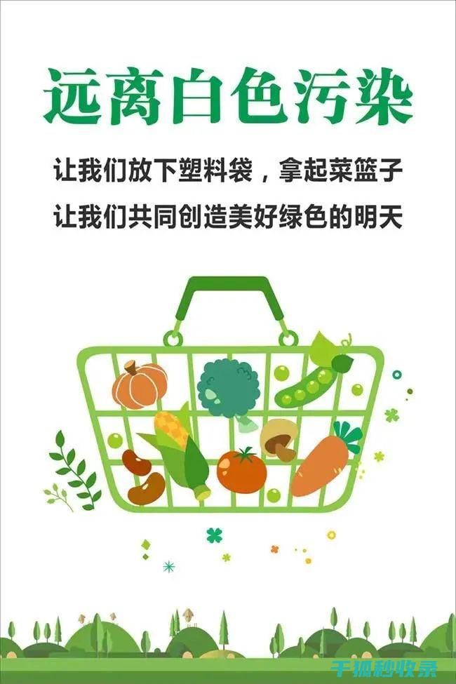 减少塑料使用：企业如何引领环保潮流 (减少塑料使用的措施)