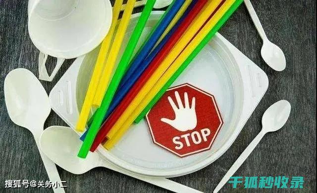 减少塑料使用：从源头减少塑料污染 (减少塑料使用的英文)