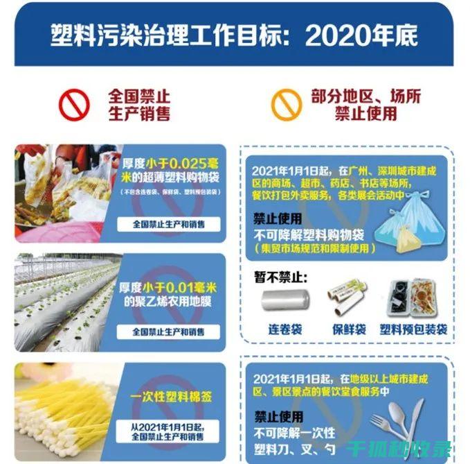 减少塑料使用：从点滴做起，守护地球 (减少塑料使用的措施)