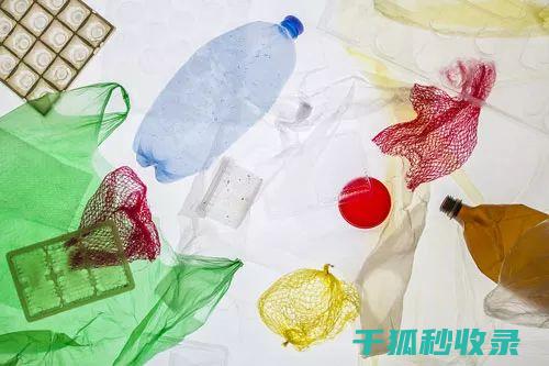 减少塑料使用：让地球恢复活力 (减少塑料使用的措施)