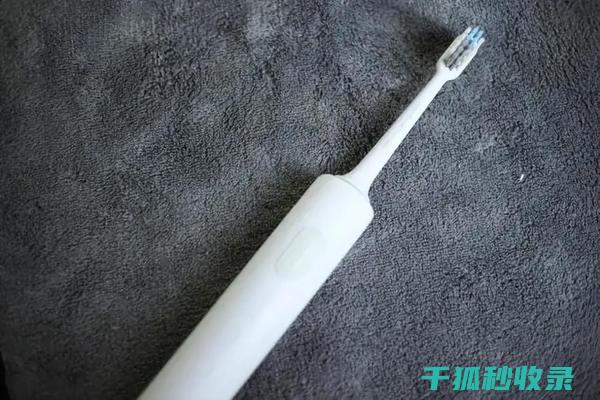 牙刷寿命有多长？教你准确判断是否需要更换 (牙刷寿命有多长时间)