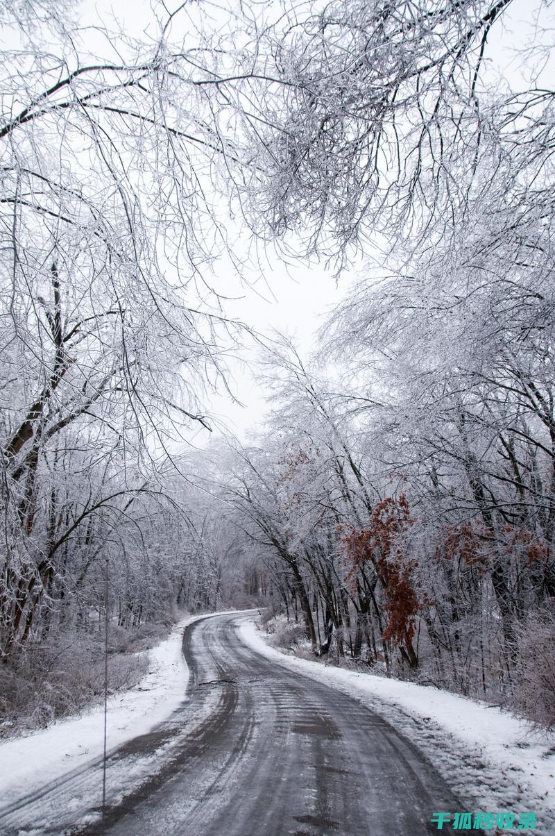 雪天防滑技巧：让你在冰雪中如履平地 (雪天防滑技巧有哪些)