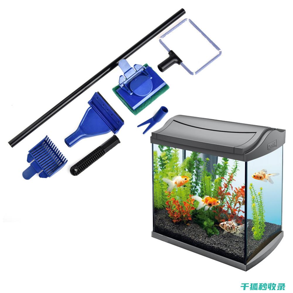 水族箱清洁秘籍：保持水质清澈的关键步骤 (水族箱怎么清洁)