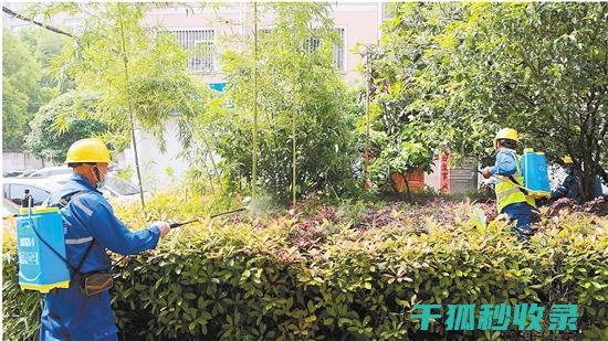 植物病虫害防治：如何通过防虫网减少害虫入侵 (植物病虫害防治)