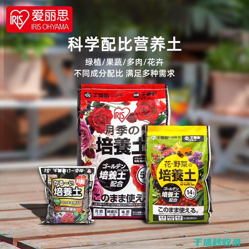 盆栽土壤配比：让植物在户外也能茁壮成长的秘诀 (盆栽土壤配比方法)