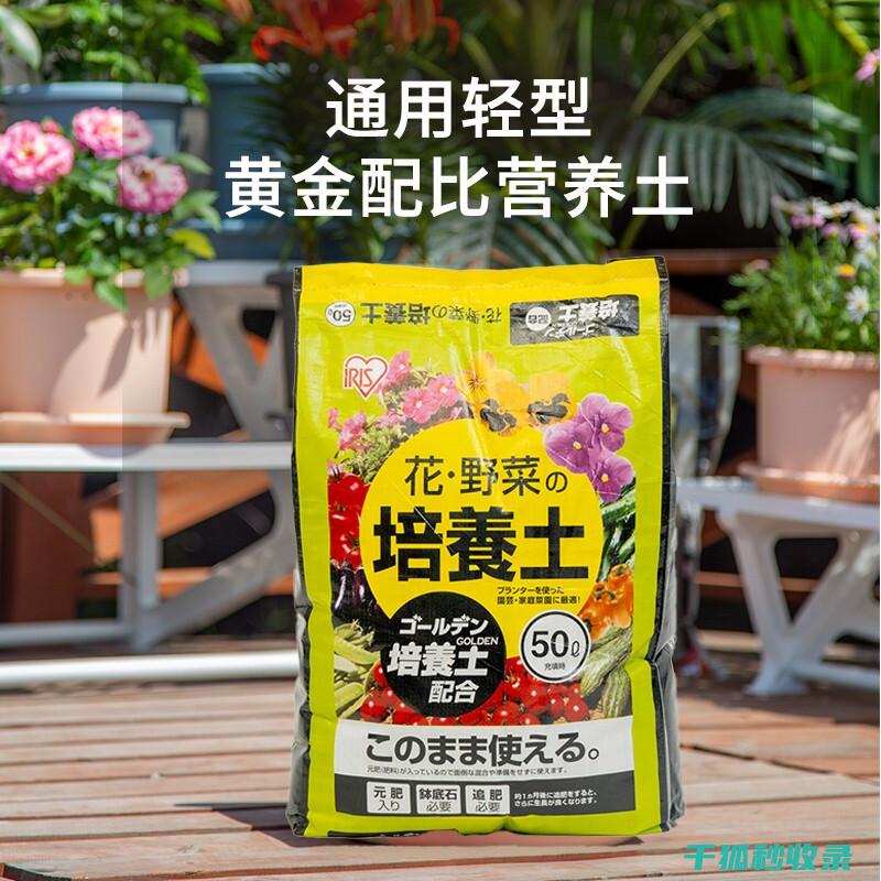 标准