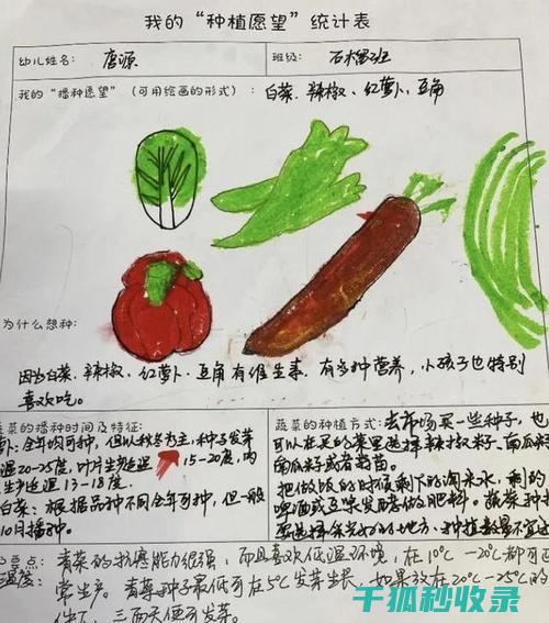 盆栽土壤配比：适合不同无机物需求植物的配方指南 (盆栽土壤配比标准)