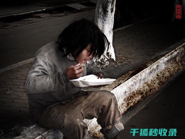 流浪动物救助：从街头到充满爱的家 (流浪动物救助站归哪个部门管)