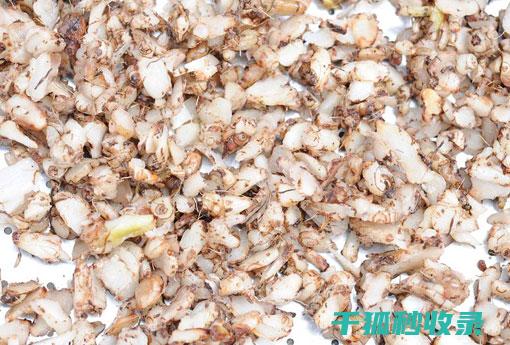 白鞋变黑？教你快速恢复白鞋光泽的方法 (白鞋变黑了怎么变白)