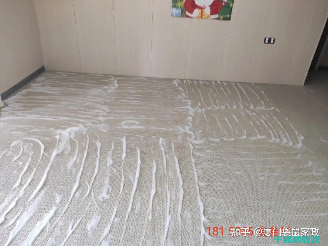 地毯污渍去除全步骤：从第一步到最终效果 (地毯污渍去除小妙招)