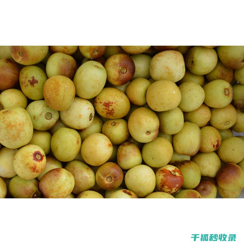 延长水果保鲜期，这些小技巧你一定要知道 (延长水果保鲜期最有效的方法)