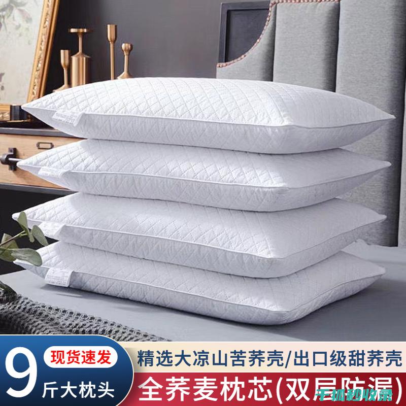 枕头除螨全体验：从问题到解决的完整过程 (枕头除螨全体使用方法)