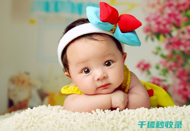 照片保存的全面指南：从基础到进阶的全链条指导 (照片保存的全部在哪里)