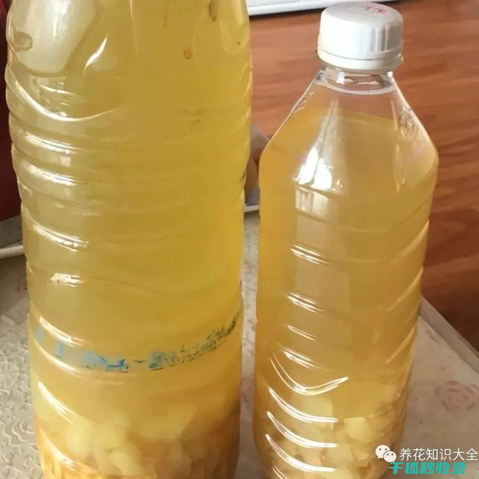 水果去皮新趋势：轻松去皮的秘诀 (水果去皮新趋势分析)