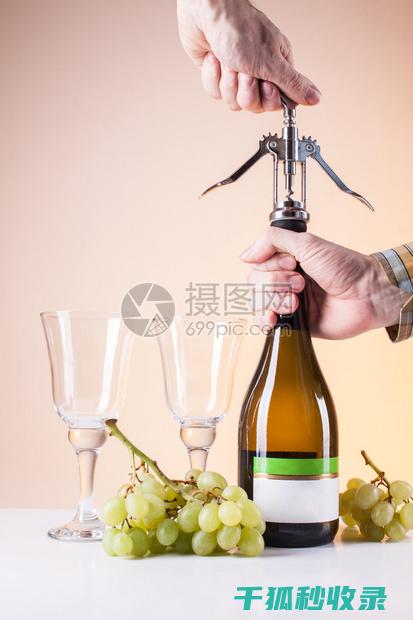 一瓶酒的开瓶艺术：从瓶塞到酒杯的完美过程 (一瓶酒的开瓶方法)
