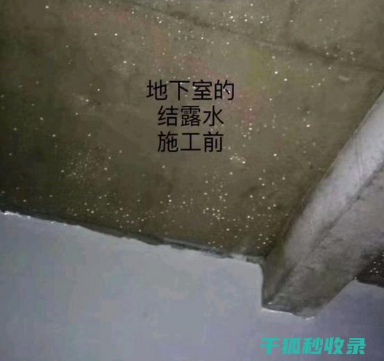 如何有效防潮？证件防潮技巧全解析 (如何有效防潮?)