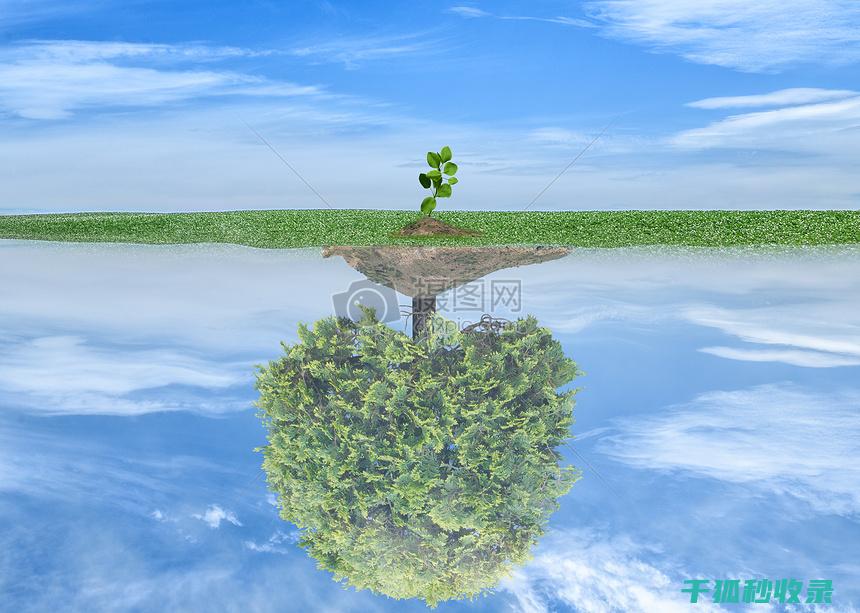 环保家居清洁新选择：自制清洁剂大揭秘 (环保家居清洁剂有哪些)
