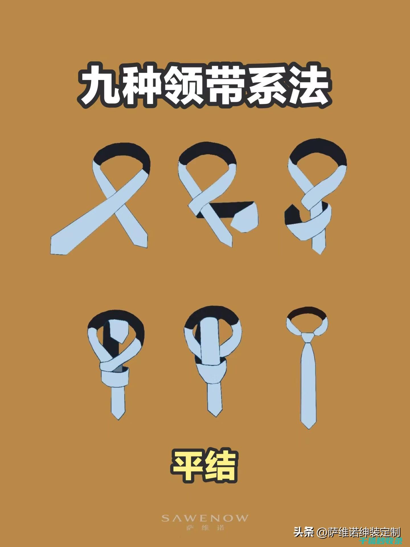 领带收纳新思路：从杂乱到有序的完美蜕变 (领带 收纳)