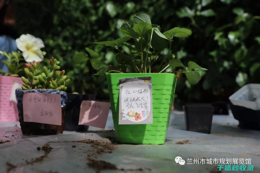 让绿色植物守护健康：这些植物能有效驱蚊 (如何让绿色植物更绿)