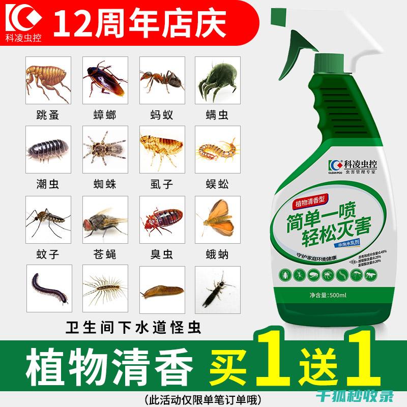 环保杀虫剂：自己动手制作，为健康加分 (环保杀虫剂)