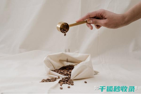 咖啡豆的正确保存方式：避免风味流失的关键 (咖啡豆的正确煮法)