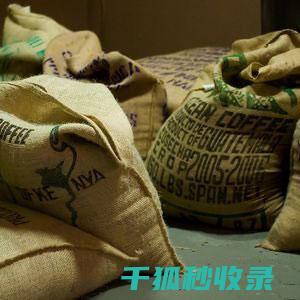 咖啡豆保存全解密：延长咖啡的美味时光 (咖啡豆 保存)