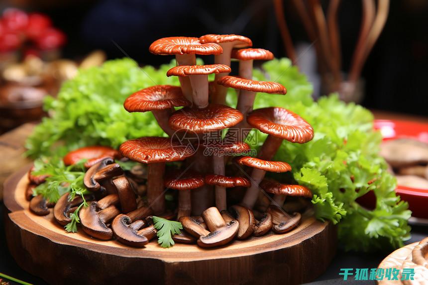 食用油保存的最佳方法