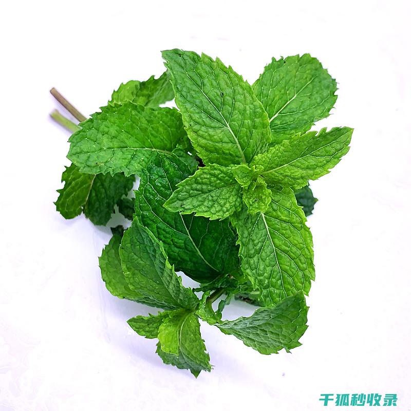 食用油保存的正确方式与常见误区 (食用油保存的正确方法)