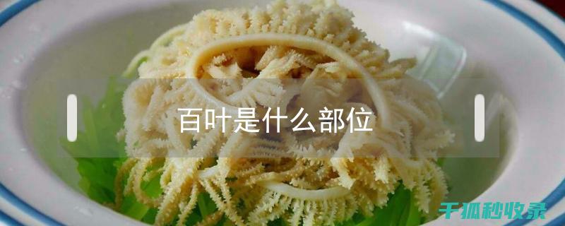 百叶窗除尘：让你的家居焕然一新的秘密武器 (百叶窗除尘器)