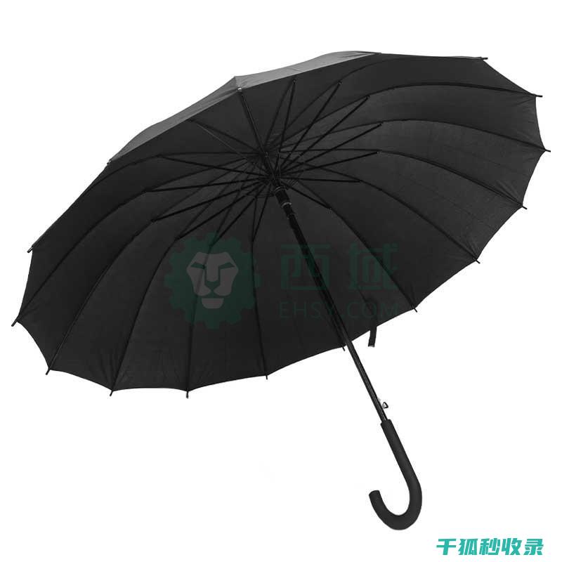 雨伞除锈指南：让你的雨伞重新亮丽起来 (雨伞除锈用什么方法最好)