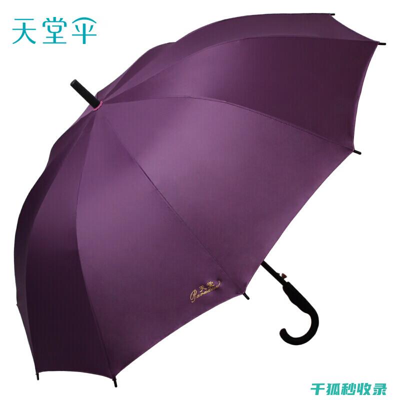 雨伞除锈大揭秘：轻松去除锈迹的秘诀 (雨伞去锈方法)