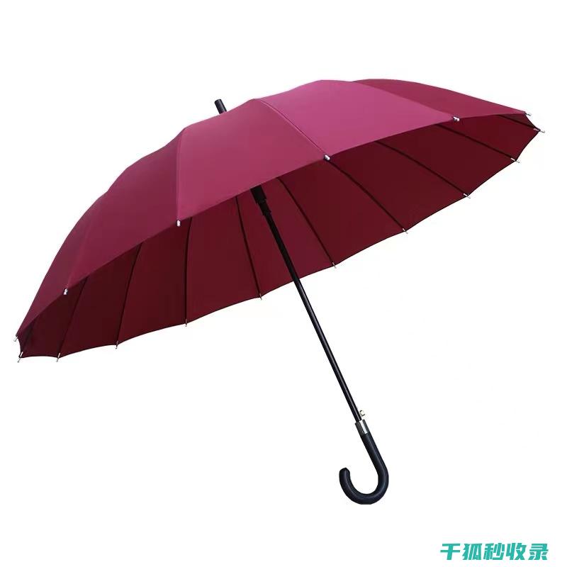 雨伞生锈了？这个除锈步骤你一定要知道 (雨伞生锈了怎么去除)