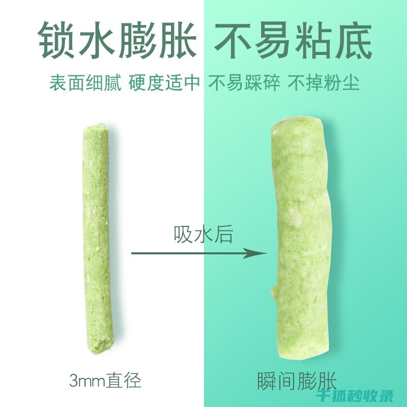 宠物主人的亲身经历与感悟