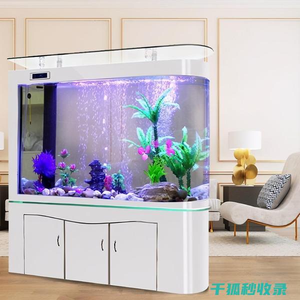 鱼缸清洁计划：针对不同鱼缸面积的调整 (鱼缸清洁计划书)