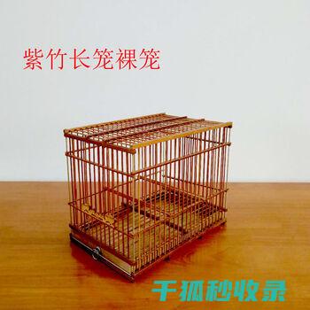 鸟笼清洁的黄金时间：避开饲养高峰期 (鸟笼清洁的黄色虫子)