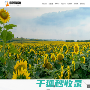 武穴市巨霸粮油设备制造股份有限公司